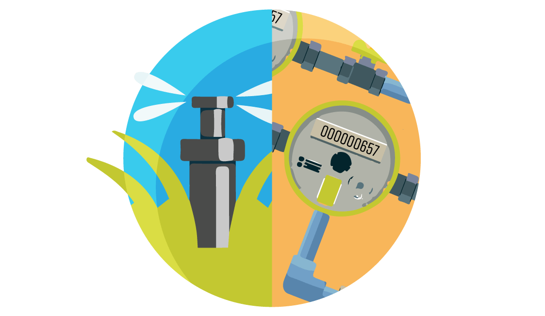 Residential Irrigation Meters